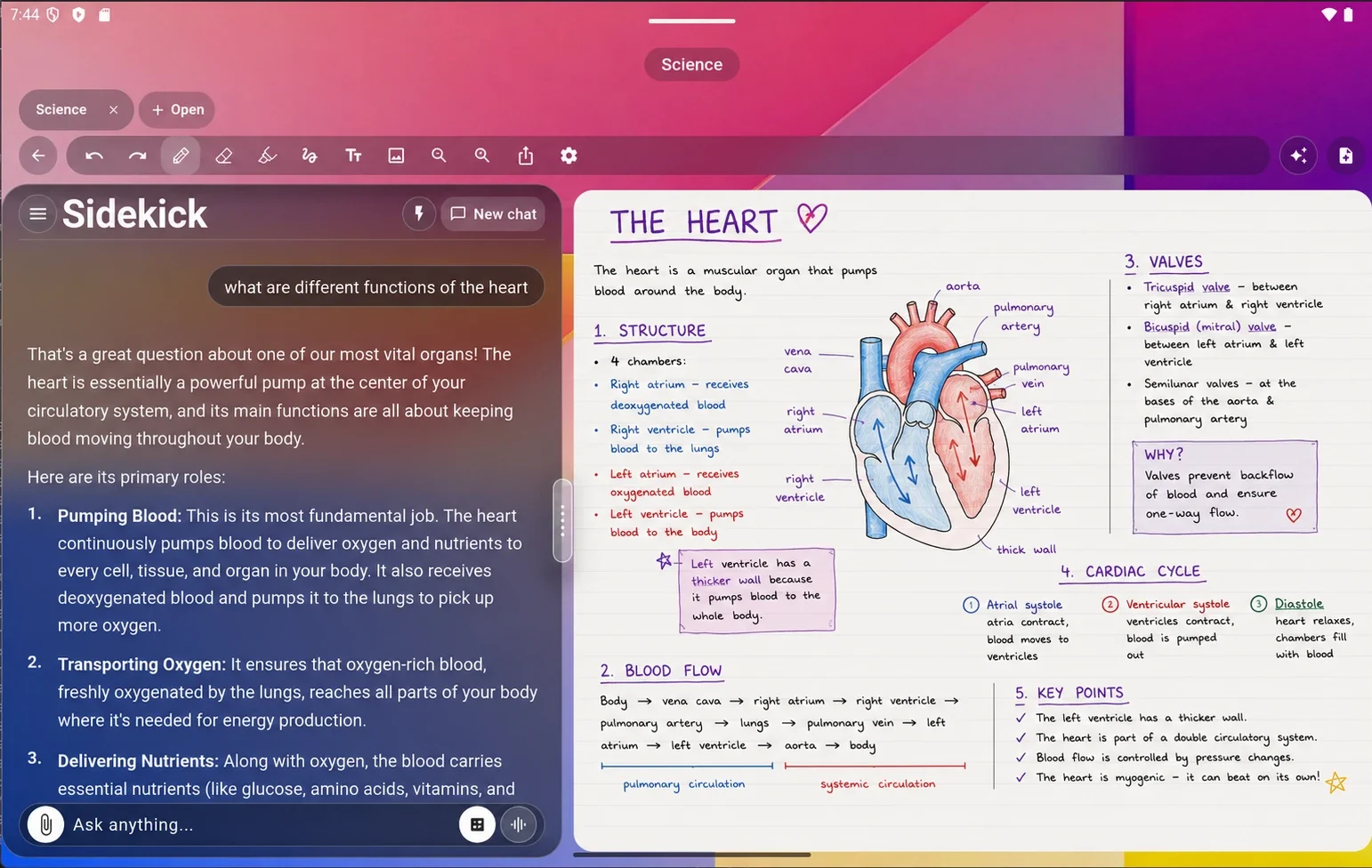 Revisionary on a tablet: the Sidekick AI chat beside illustrated notes on the heart